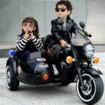 Large Size 3 Wheel Rechargeable Motorcycle